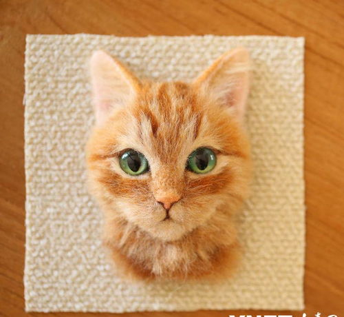 艺术家制作的猫咪3D肖像走红全球,逼真到难以相信自己的眼睛