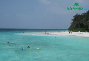 穷游马尔代夫居民岛攻略探索热带天堂的最佳途径