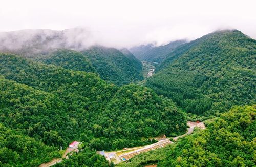 六盘山国家森林公园旅游攻略景点一日游攻略(贵阳市森林公园停车场收费标准)