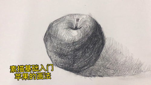 素描基础入门 苹果的立体画法 