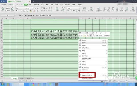 WPS中的Excle表格怎么设置文字对齐方向