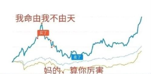 手头有1000元，买基金或者股票 怎么赚钱？