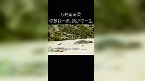 每个人都有一个天命守护神,他会以各种方式默默保护着你. 