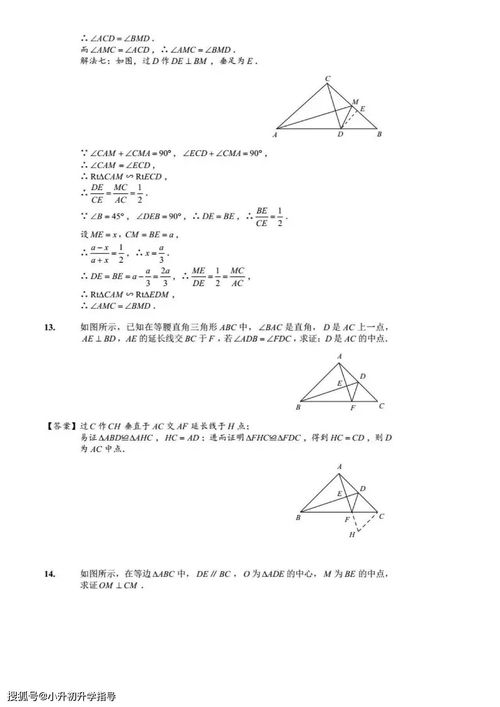 初中干货 各类全等三角形证明专项训练,整个初中全适用