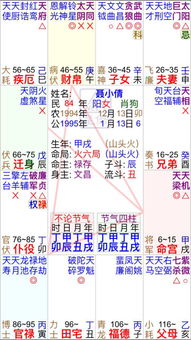 有大师能帮我解解这个命盘吗,十分感谢 