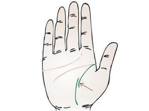 手掌中健康线的状态和位置,代表了什么