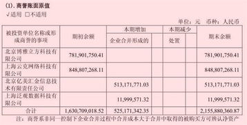 作为一名股东，想看看报表数据是否真实和如何查账