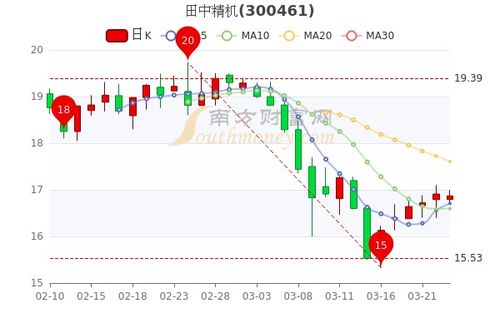 田中精机股票怎么样