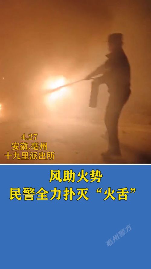 风助火势,民警全力扑灭 火舌 