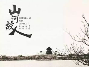 京师影评丨生命长河里关于孤独的故事 评 山河故人