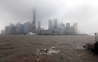 直击 海葵 台风过境下的上海街头