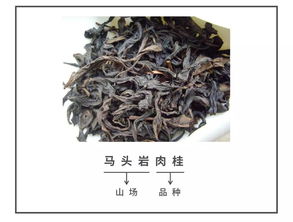 岩茶有什么香气  第2张