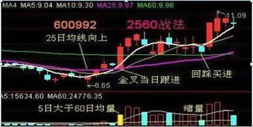 股票日线上的红黄蓝绿白线各代表什么意思