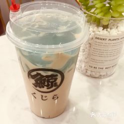 琉璃鲸 十二属相街店 的奶茶蓝水晶好不好吃 用户评价口味怎么样 威海美食奶茶蓝水晶实拍图片 大众点评 