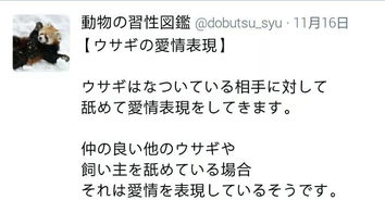 日本博主的动物习性冷知识小课堂,网友 可爱到想把所有动物打包回家