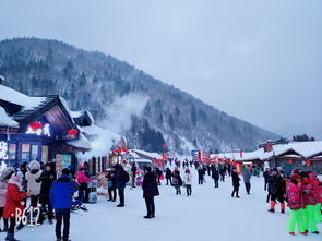 去雪乡要准备什么 (去雪乡要准备什么衣服)