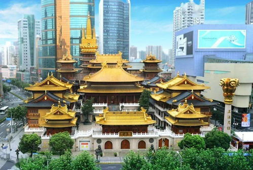 上海这些香火极旺的寺庙现已恢复开放,快来求鸿运