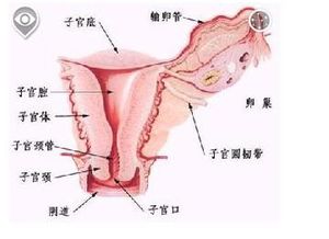 非经期阴道流血有哪些原因 