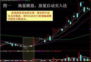 为什么股票中国黄金国际不能买入