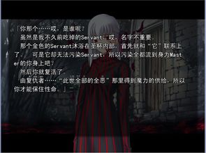 Fate Stay Night 是如何描述第四次圣杯战争的