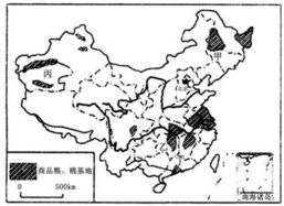 我国商品粮基地分别生产什么