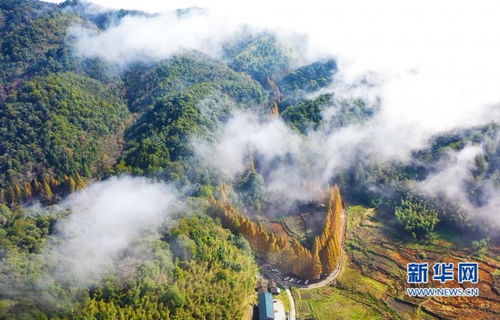 将乐旅游龙栖山