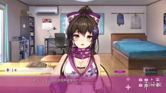 和美少女忍者同居 恋爱ADV NinNinDays Steam发售 支持中文