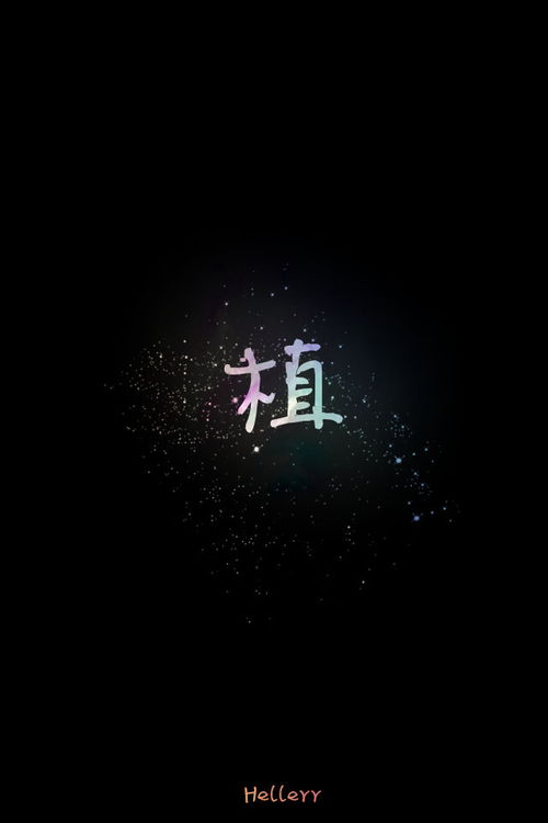 喜欢原创文字请多多支持我吧 l 堆糖,美好生活研究所 