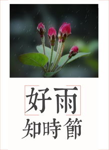 好雨知时节,全诗