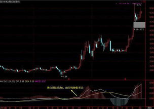 请问：股票软件上的MACD和KDJ怎么使用，它们代表什么意思？谢谢。