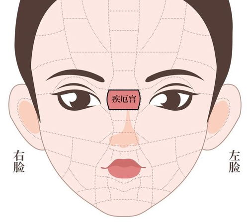 相面识人03丨 宫 ,快捷看相必备