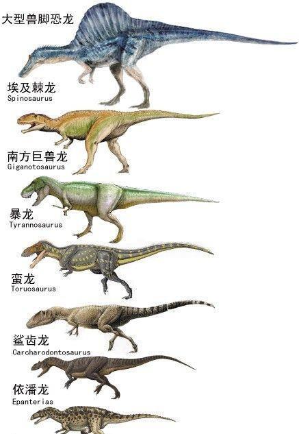 食肉恐龙vs食草恐龙图片