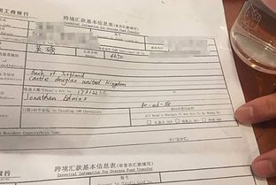 境外汇款申请书范文精选