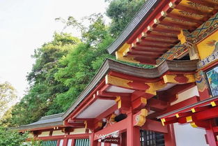 日本的这个神社,是日本人祈福必到的地方,风景极为优美