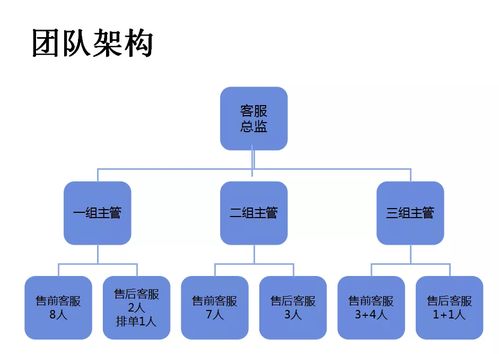 客服测试方案模板(客服测试是什么)