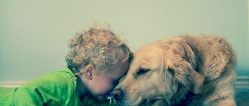 宠物是人类的好朋友,那小孩子该不该养宠物呢 