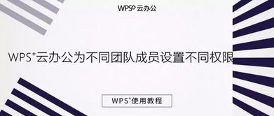 wps团队协作怎么修改(wps团队协作可设置权限吗？)(wps团队成员设置权限)