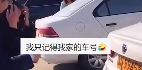 山东女生练车不记车牌,来一个月天天找不到车,教练举动逗乐众人