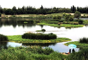 这天想要钓鱼 西安这个国家湿地公园免费开放,是个好去处