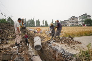 铺设灌溉管道 