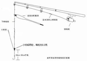 矶钓竿滑漂钓法怎么调漂