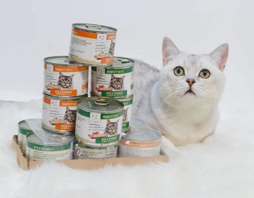 什么猫咪主食罐头好,猫罐头品牌推荐