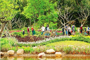 惠州植物园有哪些景点？