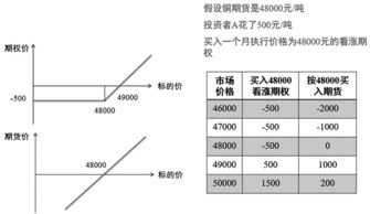 谁能解释下什么是期权协议？