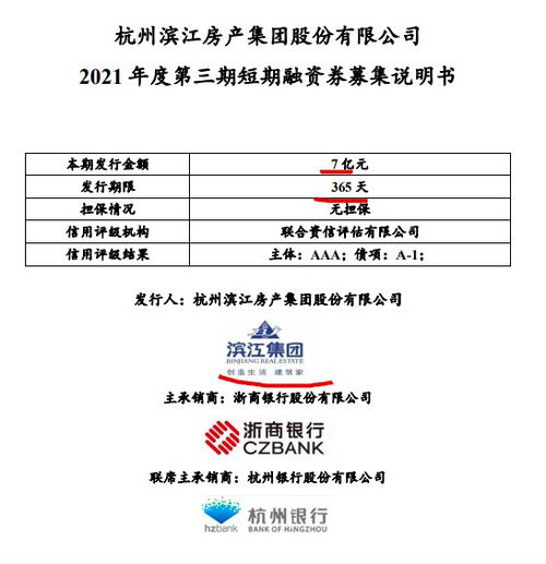 上海云峰(集团)有限公司2013度第一期短期融资券募集说明书