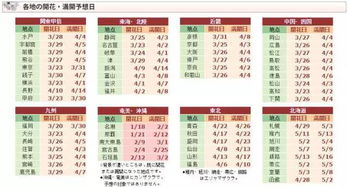 3月,我想带你去日本看一场樱花雨