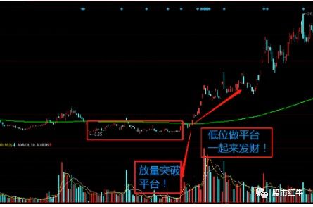 怎样查看一只股票的机构投资者