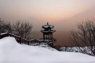 二月飞雪 刷爆秦皇岛人朋友圈的最美雪景 