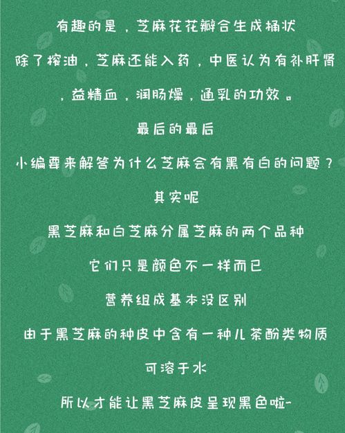 植物冷知识丨长在地里的芝麻,99 的人不认识它