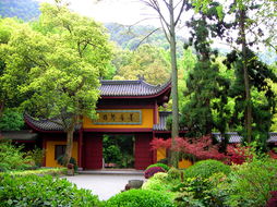 杭州的永福禅寺